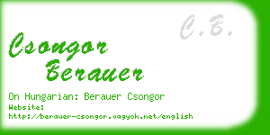 csongor berauer business card